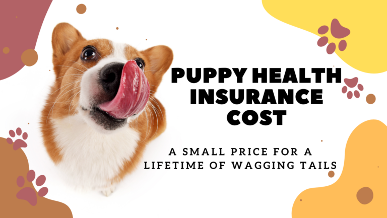 Pet Insurance Cost