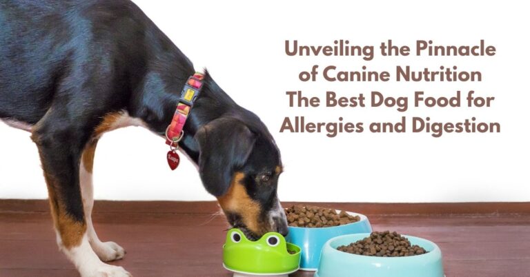 Best Dog Food for Skin Allergies