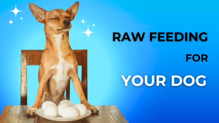 Raw Feeding for Dogs