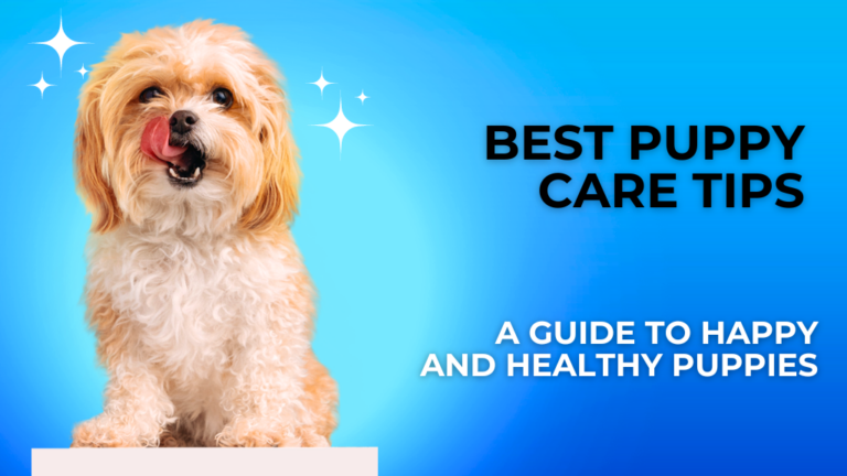 Best Puppy Care Tips