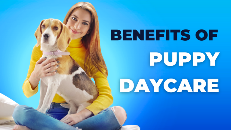 Benefits of Puppy Daycare