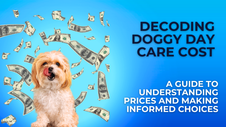 Doggy Day Care Cost