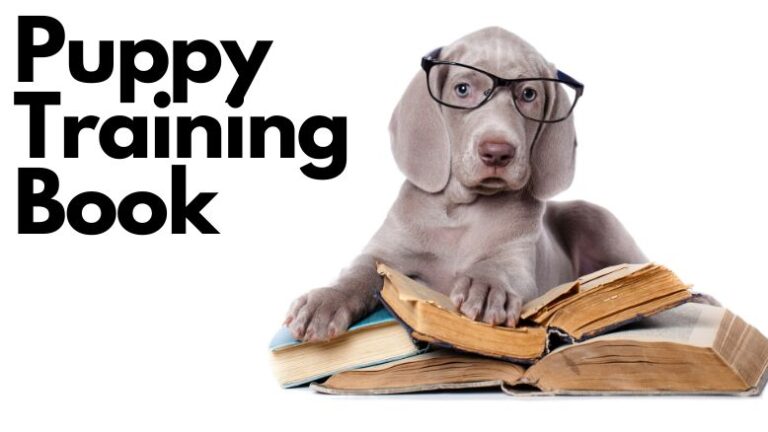 The Best Puppy Training Book 9 The Best Puppy Training Book