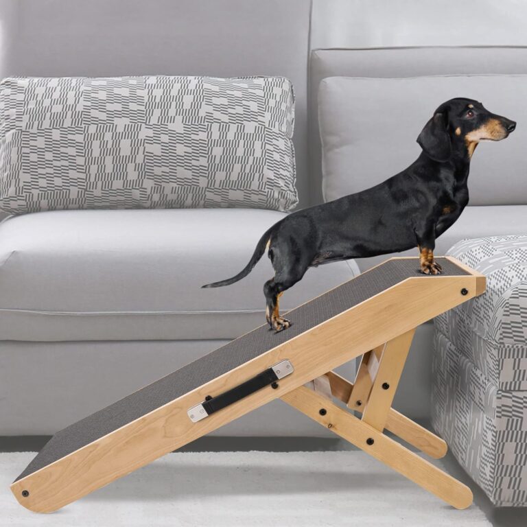 Best Ramp for Dachshund 7 Best Ramp for Dachshund