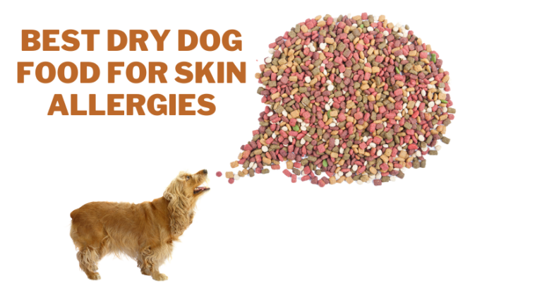 Best Dry Dog Food for Skin Allergies