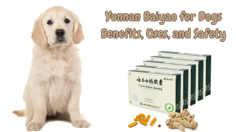 Understanding Yunnan Baiyao for Dogs: Benefits, Uses, and Safety