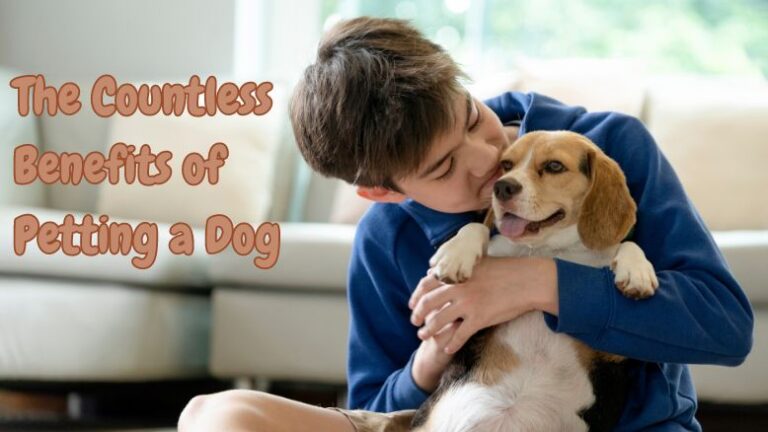Unleashing the Joy: The Countless Benefits of Petting a Dog 4 The Countless Benefits of Petting a Dog