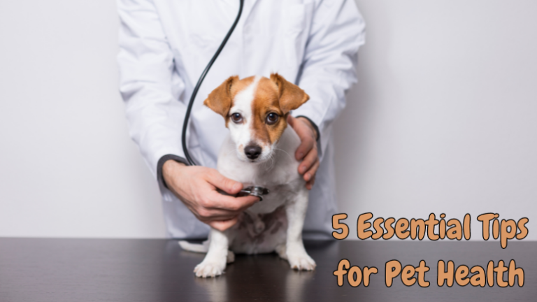 Tips for Pet Health
