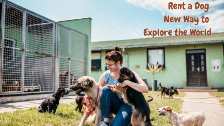 Rent a Dog : New Way to Explore the World 4 Rent a Dog