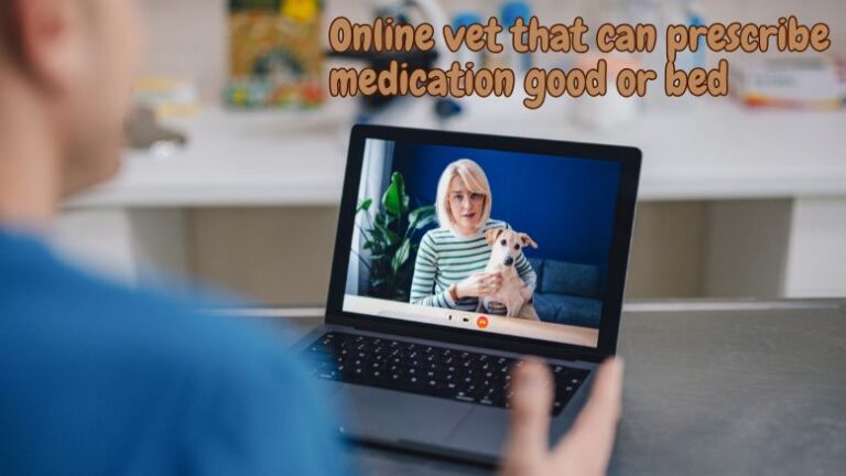 Online vet that can prescribe medication good or bed